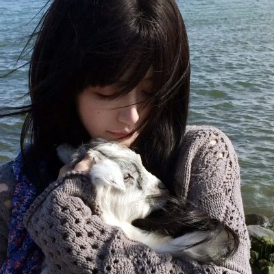 鞋猫剑客海报