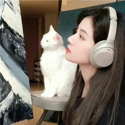 你的情歌